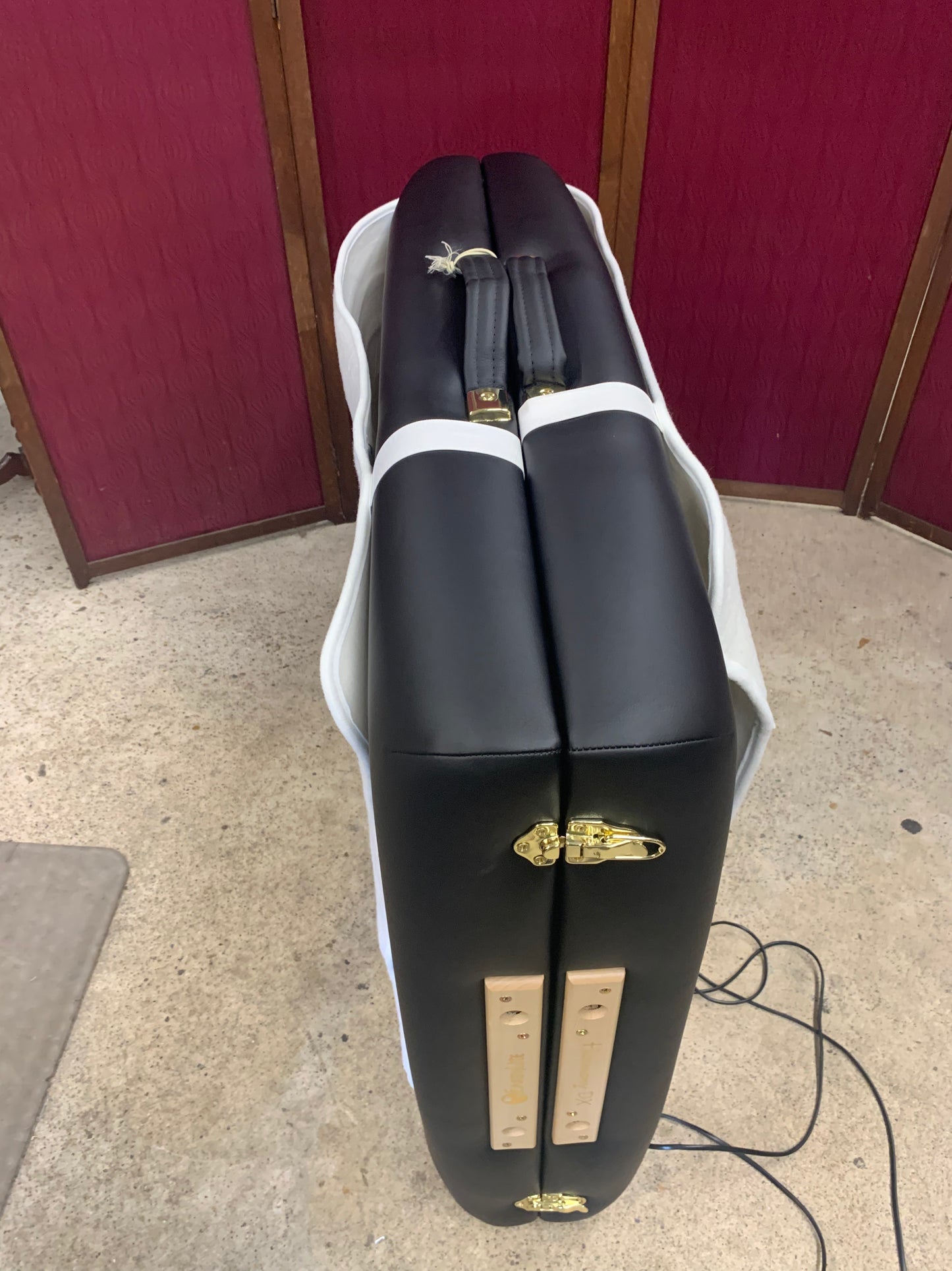 Earthlite Harmony DX Portable Massage Table – With Warming Pad & Carrying Case