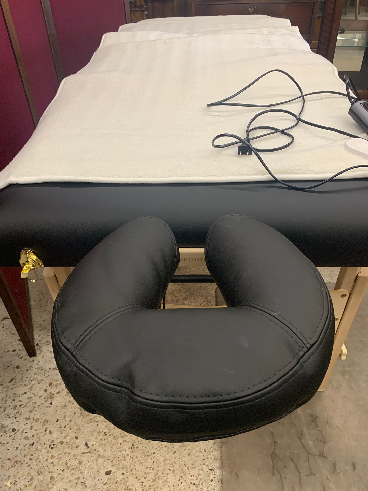 Earthlite Harmony DX Portable Massage Table – With Warming Pad & Carrying Case